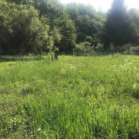Daire Sauna Apartment, Cleaning Included Eschfeld